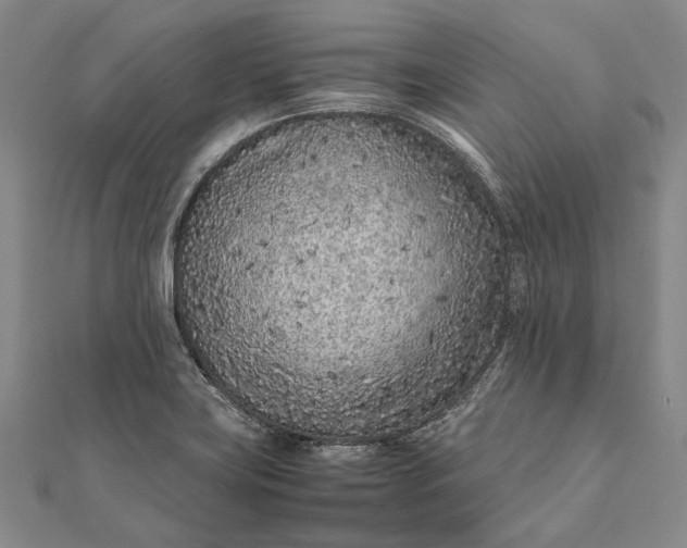 X0000111851419200908061305