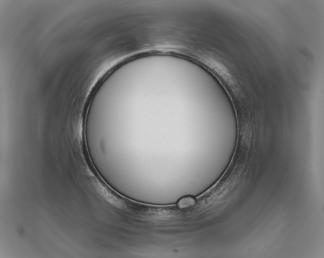 X0000111851420200908061305