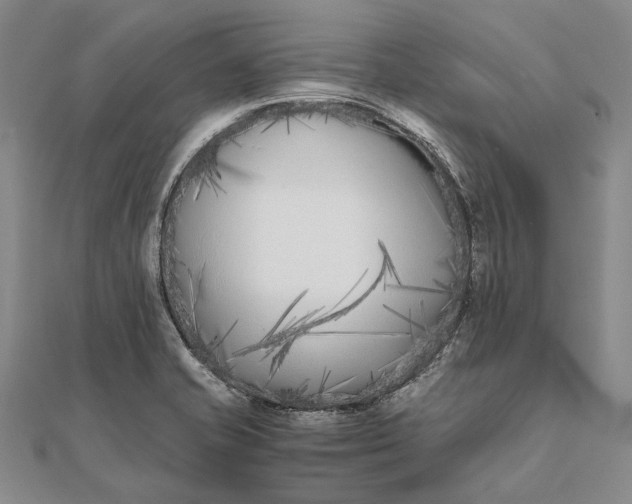 X0000111851421200908061305