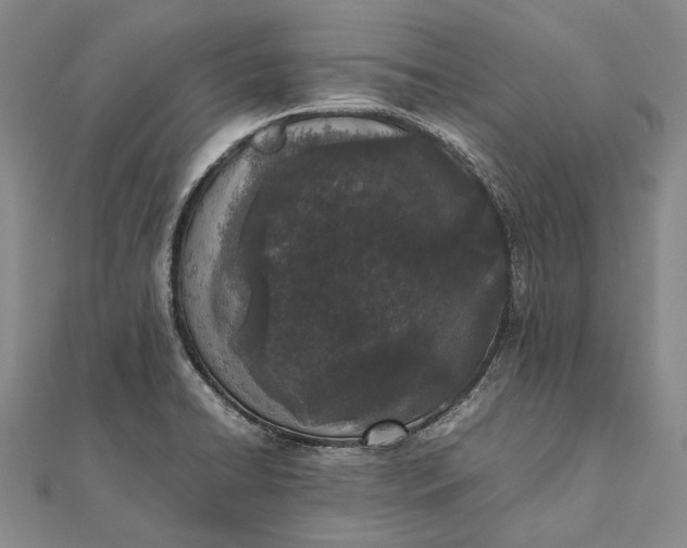 X0000111851422200908061305