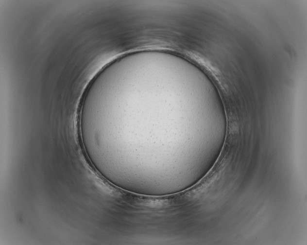 X0000111851423200908061305