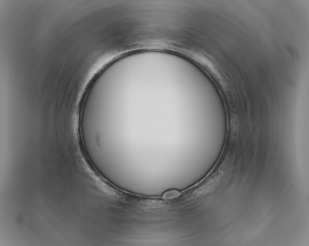 X0000111851424200908061305