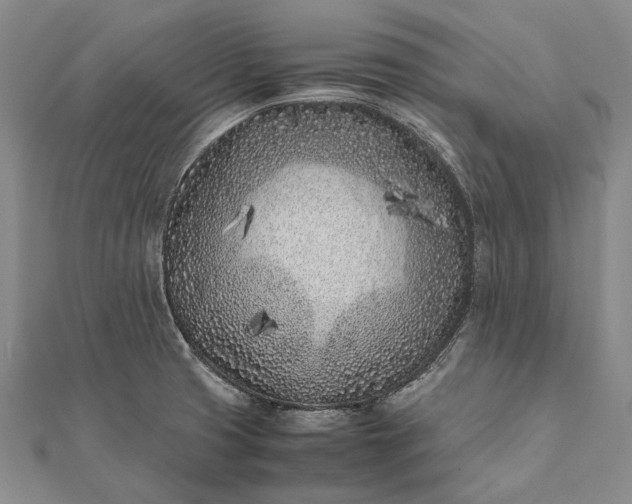 X0000111851425200908061305