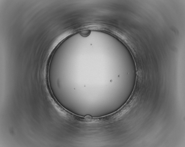 X0000111851426200908061305