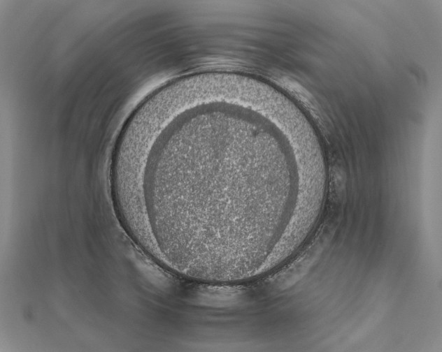 X0000111851427200908061305