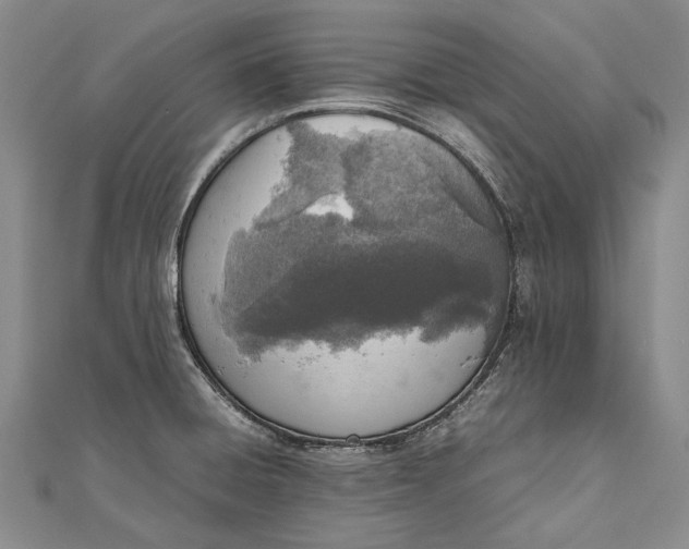 X0000111851428200908061305