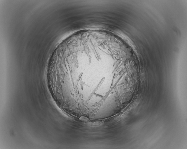 X0000111851429200908061305