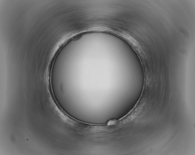 X0000111851430200908061305