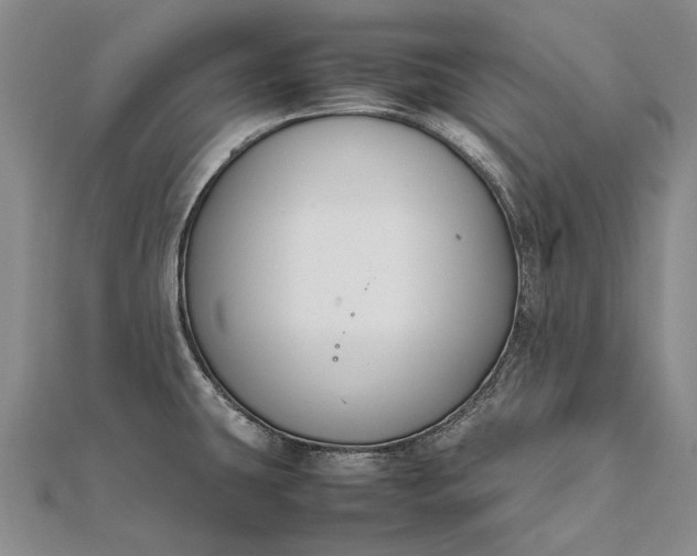 X0000111851431200908061305