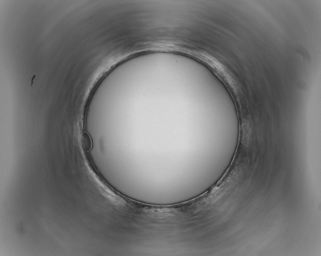 X0000111851432200908061305