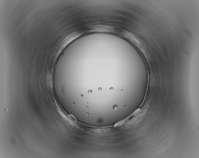 X0000111851433200908061305