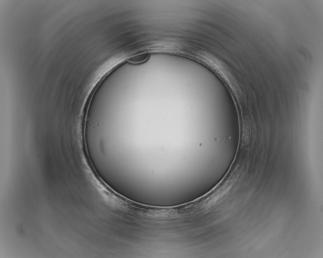 X0000111851434200908061305