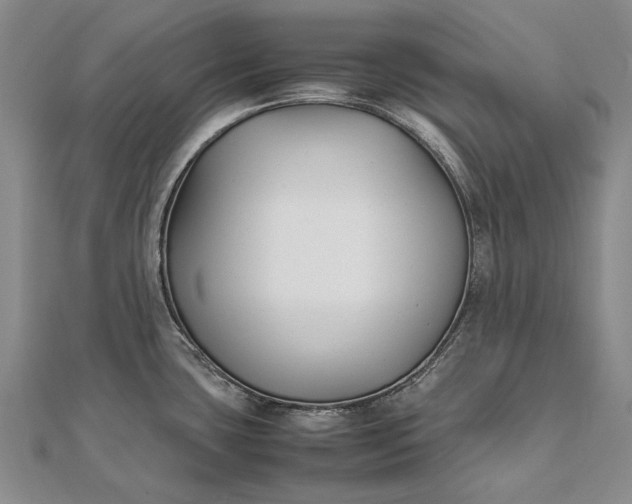 X0000111851435200908061305