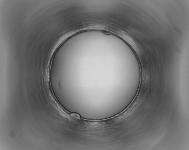 X0000111851436200908061305