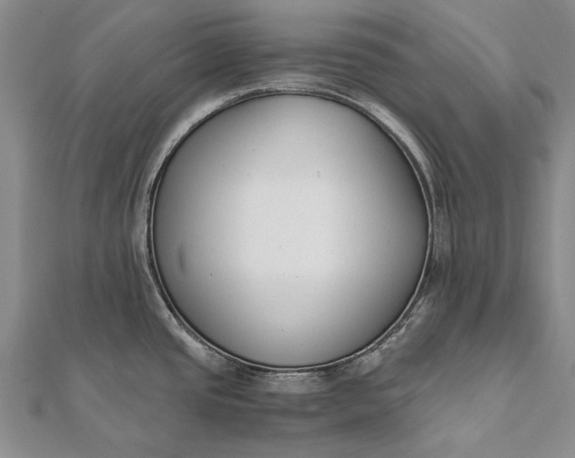 X0000111851437200908061305