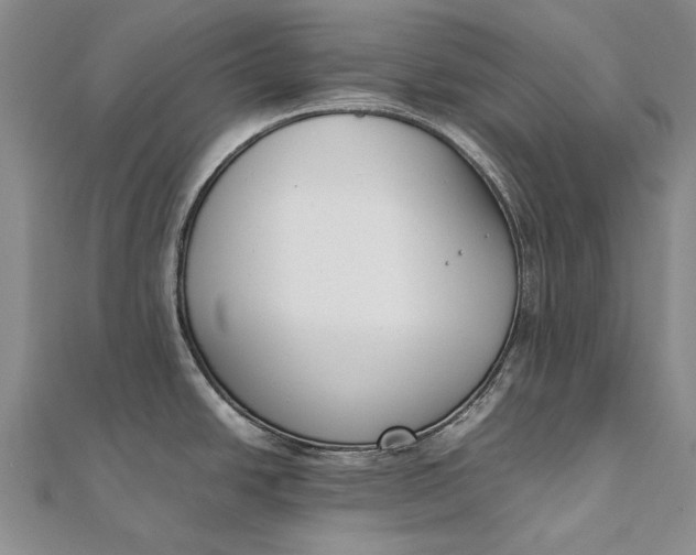 X0000111851438200908061305