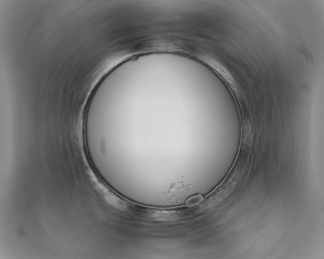 X0000111851439200908061305