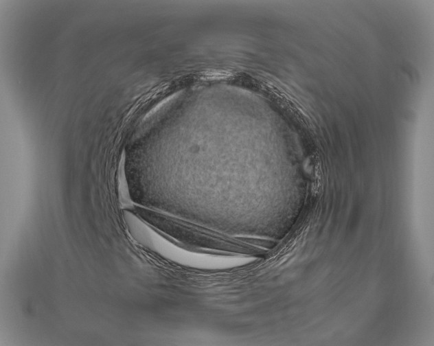 X0000111851441200908061304