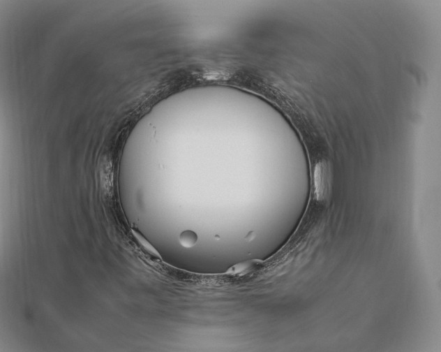 X0000111851443200908061304