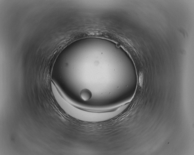 X0000111851444200908061304