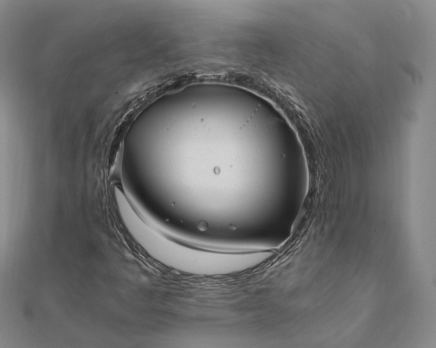 X0000111851445200908061304