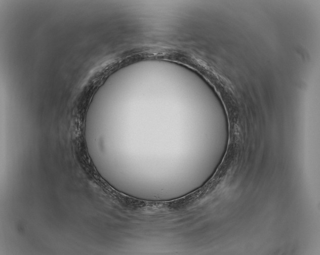 X0000111851447200908061304