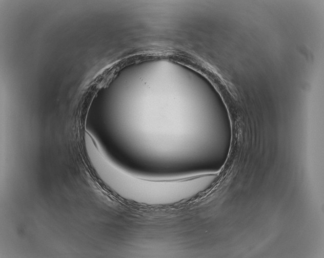 X0000111851448200908061304