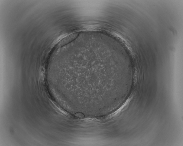 X0000111851449200908061304