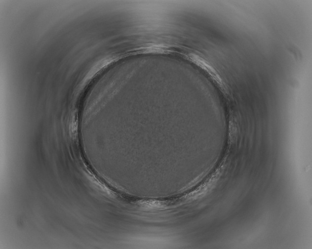 X0000111851450200908061304