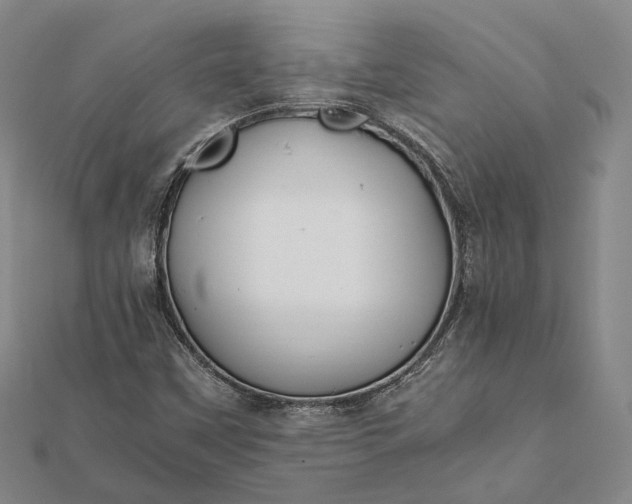 X0000111851451200908061304