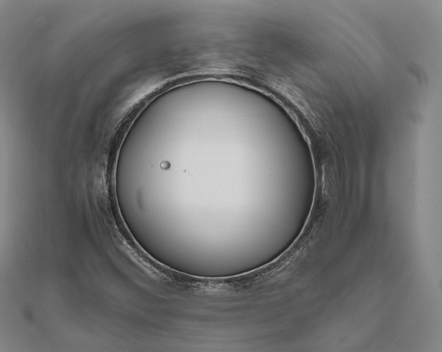 X0000111851452200908061304