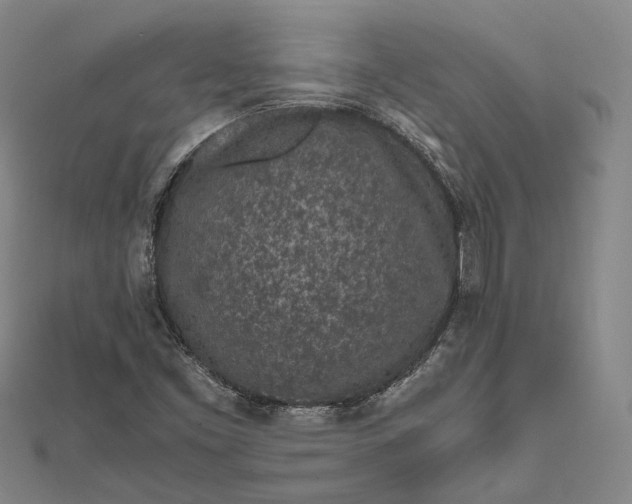 X0000111851453200908061304