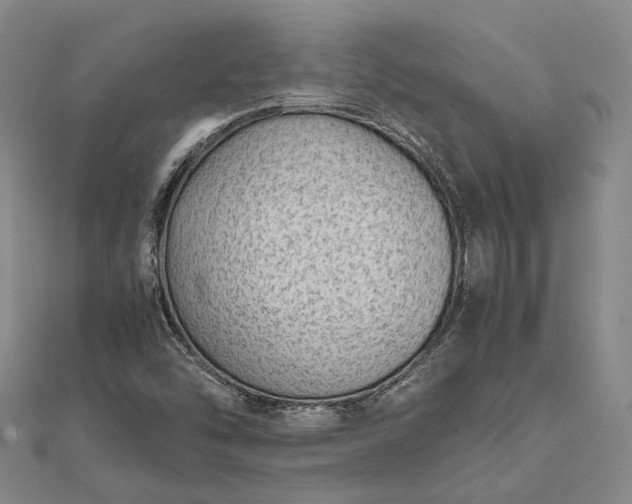 X0000111851454200908061304