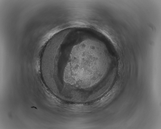 X0000111851455200908061304