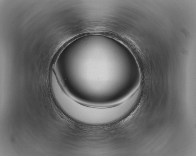 X0000111851457200908061304