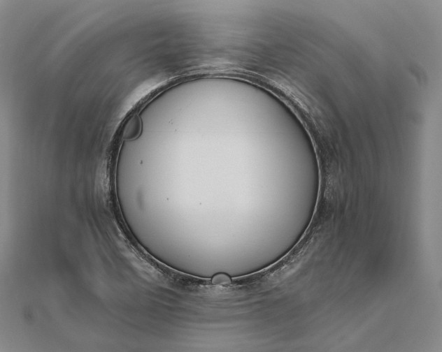 X0000111851458200908061304