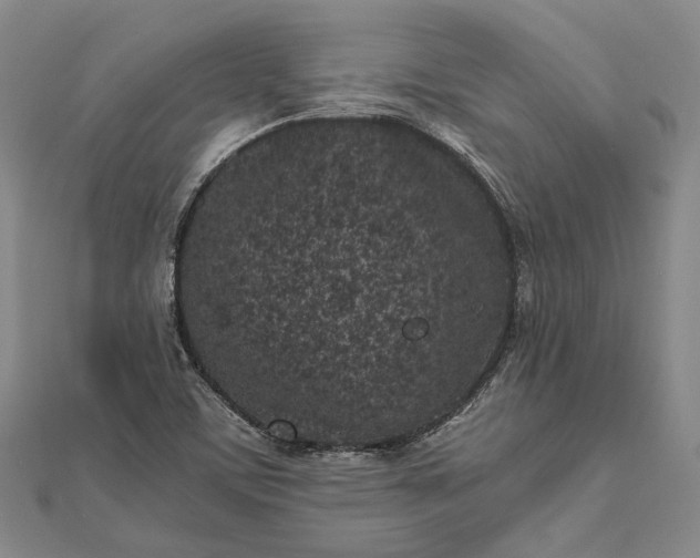 X0000111851459200908061304