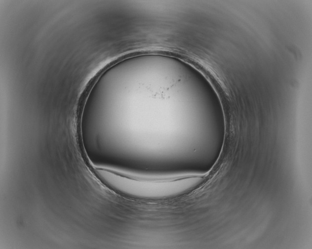 X0000111851460200908061304