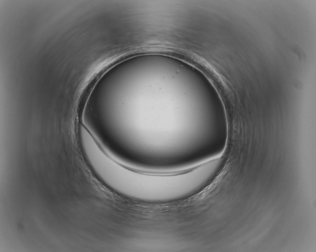 X0000111851461200908061304