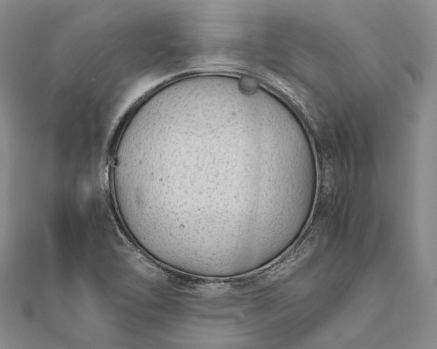 X0000111851462200908061304