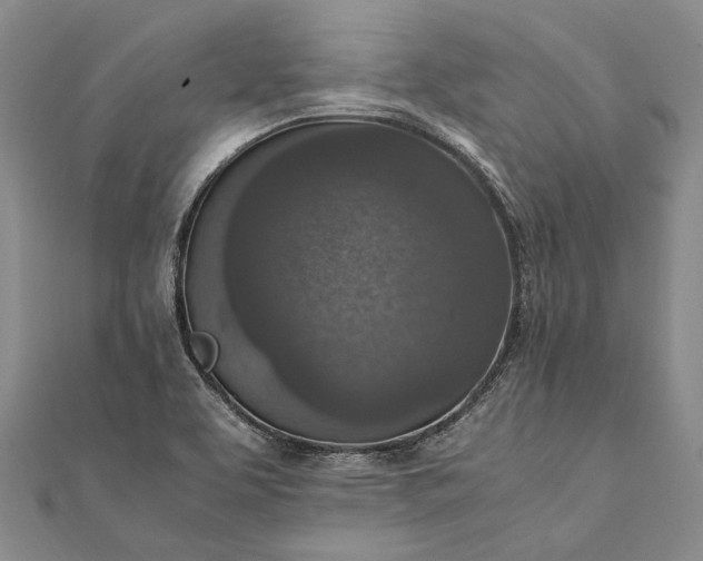 X0000111851463200908061304