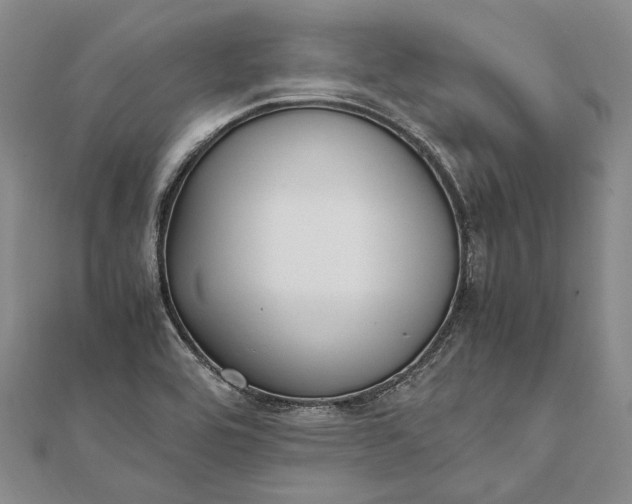 X0000111851464200908061304