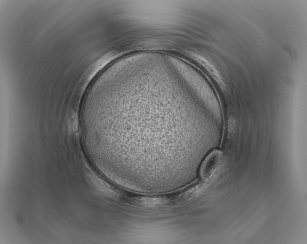 X0000111851465200908061304