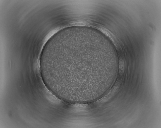 X0000111851466200908061304