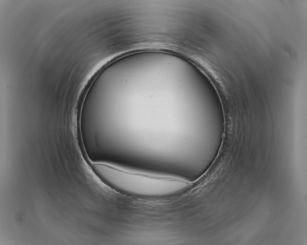 X0000111851468200908061304