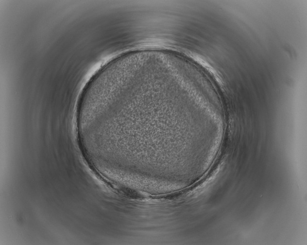 X0000111851469200908061304