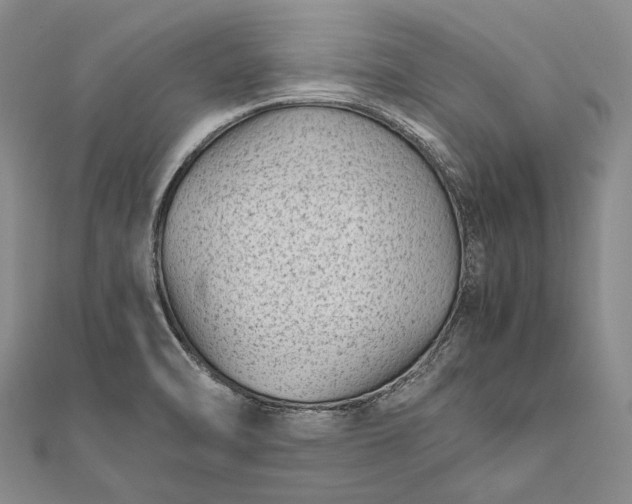 X0000111851470200908061304