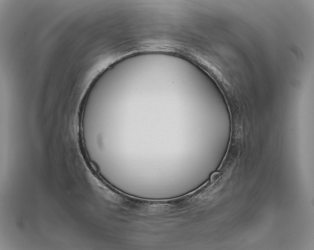 X0000111851471200908061304