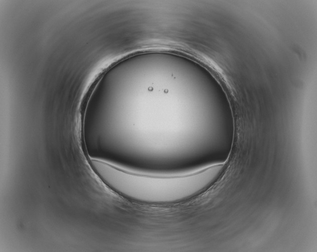 X0000111851472200908061304