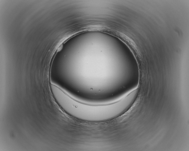 X0000111851473200908061304